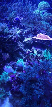 アクアワールド茨城県大洗水族館に投稿された画像（2020/12/28）