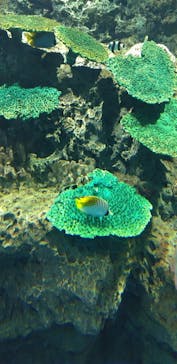 アクアワールド茨城県大洗水族館に投稿された画像（2020/12/28）