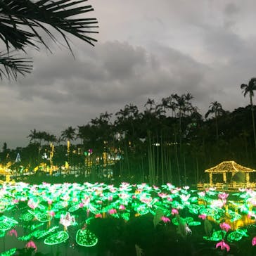 美らヤシパークオキナワ・東南植物楽園に投稿された画像（2020/12/28）