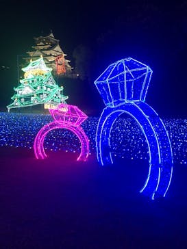 大阪城イルミナージュに投稿された画像（2020/12/28）