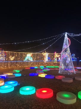 大阪城イルミナージュに投稿された画像（2020/12/28）