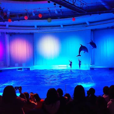 アクアワールド茨城県大洗水族館に投稿された画像（2020/12/29）