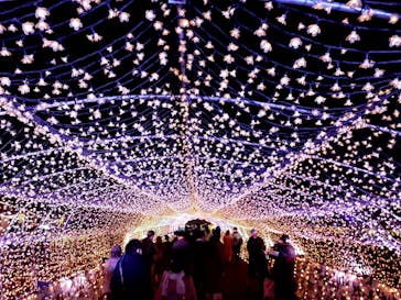 東京メガイルミに投稿された画像（2020/12/29）