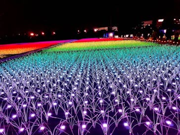 東京メガイルミに投稿された画像（2020/12/29）