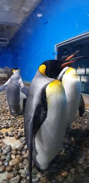 南知多ビーチランド＆南知多おもちゃ王国に投稿された画像（2020/12/29）