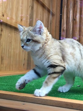 神戸どうぶつ王国に投稿された画像（2020/12/29）