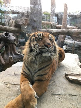 神戸どうぶつ王国に投稿された画像（2020/12/29）