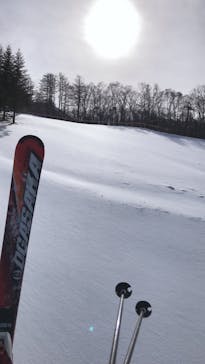 白樺高原国際スキー場に投稿された画像（2020/12/29）