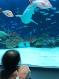 サンシャイン水族館に投稿された画像（2020/12/29）