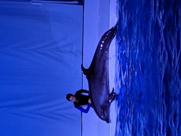 アクアワールド茨城県大洗水族館に投稿された画像（2020/12/29）