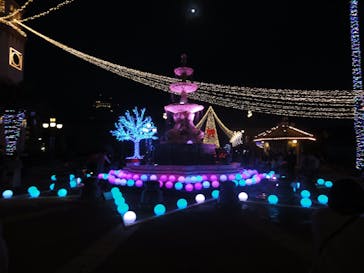 ポルトヨーロッパに投稿された画像（2020/12/29）