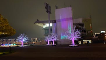 東京メガイルミに投稿された画像（2020/12/29）