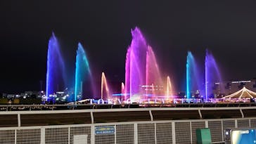 東京メガイルミに投稿された画像（2020/12/29）