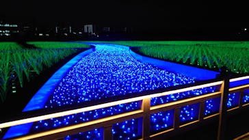 東京メガイルミに投稿された画像（2020/12/29）