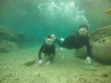 武藤潜水に投稿された画像（2020/12/29）