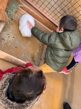 神戸どうぶつ王国に投稿された画像（2020/12/29）