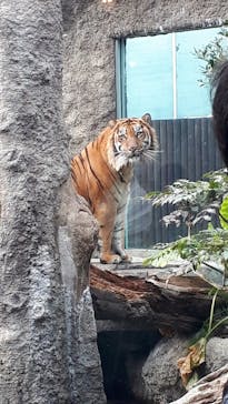 神戸どうぶつ王国に投稿された画像（2020/12/29）