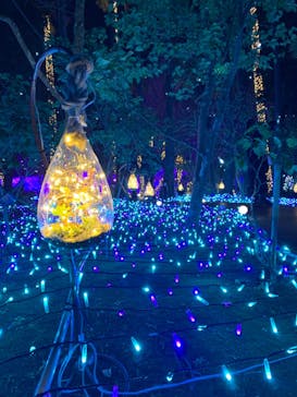 江の島シーキャンドルに投稿された画像（2020/12/29）