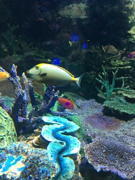 サンシャイン水族館に投稿された画像（2020/12/29）