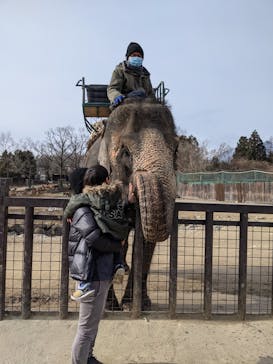 那須サファリパークに投稿された画像（2020/12/29）