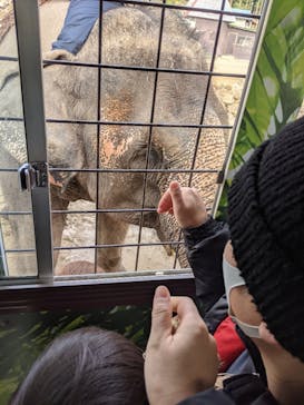 那須サファリパークに投稿された画像（2020/12/29）