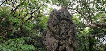 アスムイハイクスに投稿された画像（2020/12/29）