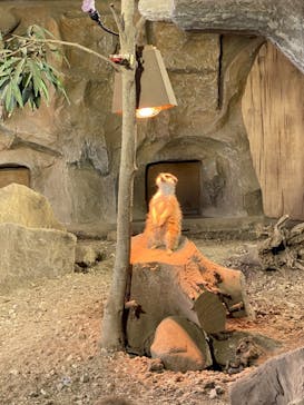 那須どうぶつ王国に投稿された画像（2020/12/29）