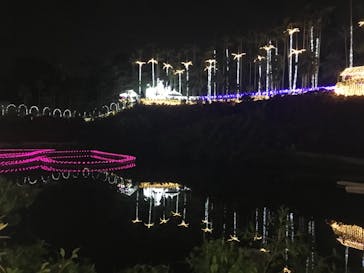 美らヤシパークオキナワ・東南植物楽園に投稿された画像（2020/12/29）