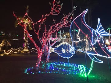 美らヤシパークオキナワ・東南植物楽園に投稿された画像（2020/12/29）