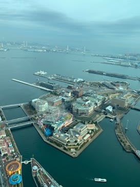 横浜ランドマークタワー 69階展望フロア スカイガーデンに投稿された画像（2020/12/29）