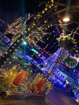 とっとり花回廊に投稿された画像（2020/12/29）