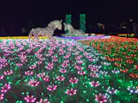 東武動物公園に投稿された画像（2020/12/29）