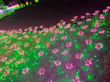 東武動物公園に投稿された画像（2020/12/29）