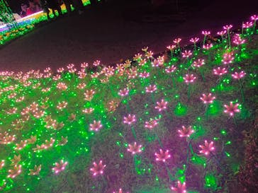 東武動物公園に投稿された画像（2020/12/29）