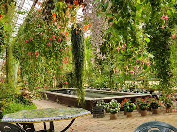 富士花鳥園に投稿された画像（2020/12/29）