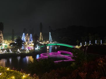 美らヤシパークオキナワ・東南植物楽園に投稿された画像（2020/12/29）