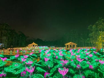 美らヤシパークオキナワ・東南植物楽園に投稿された画像（2020/12/29）