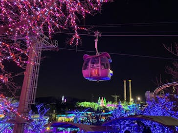 よみうりランド 遊園地に投稿された画像（2020/12/29）