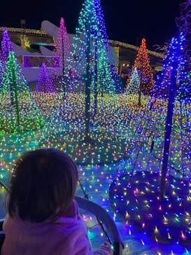 よみうりランド 遊園地に投稿された画像（2020/12/29）
