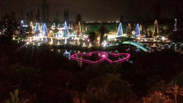 美らヤシパークオキナワ・東南植物楽園に投稿された画像（2020/12/29）