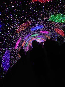 よみうりランド 遊園地に投稿された画像（2020/12/29）