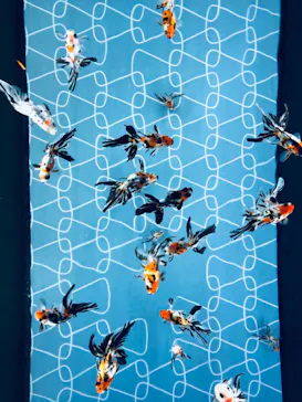 すみだ水族館に投稿された画像（2020/12/29）