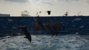 仙台うみの杜水族館に投稿された画像（2020/12/29）