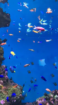 仙台うみの杜水族館に投稿された画像（2020/12/29）