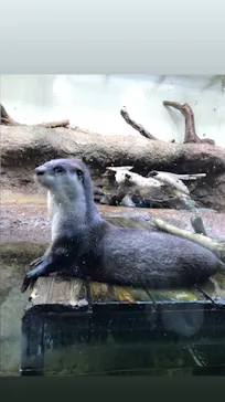 仙台うみの杜水族館に投稿された画像（2020/12/29）