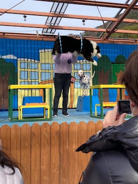 しろとり動物園に投稿された画像（2020/12/29）