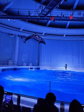 アクアワールド茨城県大洗水族館に投稿された画像（2020/12/29）