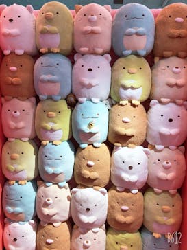 日本モンキーパークに投稿された画像（2020/12/29）