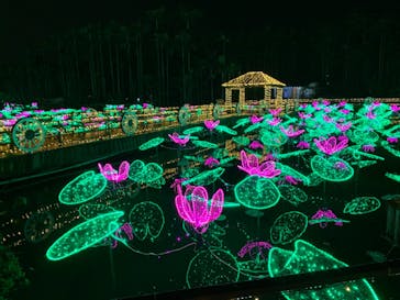 美らヤシパークオキナワ・東南植物楽園に投稿された画像（2020/12/29）