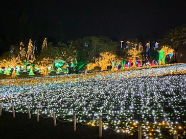 美らヤシパークオキナワ・東南植物楽園に投稿された画像（2020/12/29）